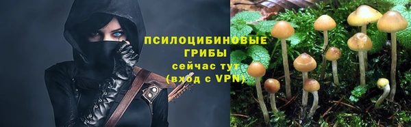 каннабис Каменногорск