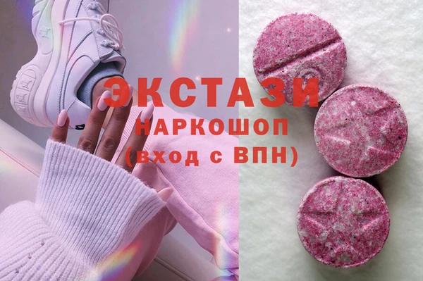 индика Иннополис