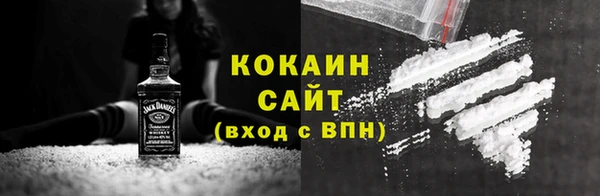 индика Иннополис