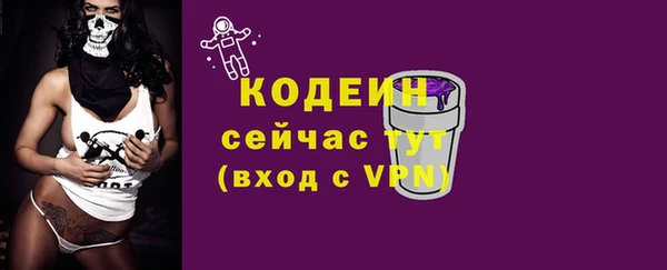 индика Иннополис