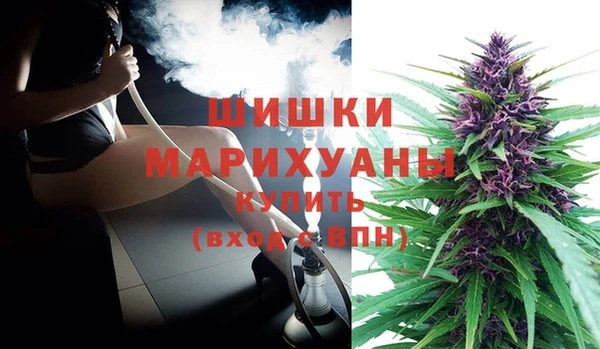 мдпв Инта
