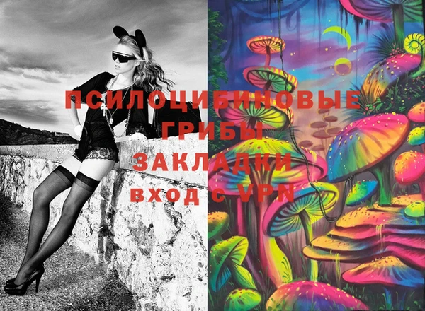 каннабис Каменногорск