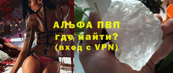 прущие грибы Галич