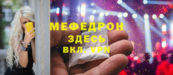 мдпв Инта