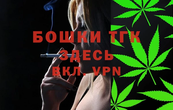 спайс Инсар