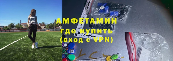 кокс Гатчина