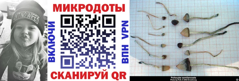 цены   Кировск  Псилоцибиновые грибы MAGIC MUSHROOMS 
