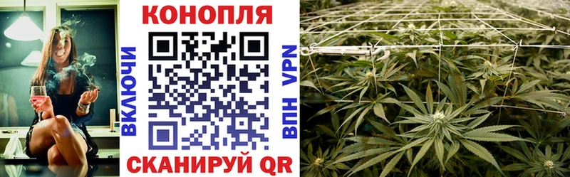 наркота  даркнет Telegram  Каннабис AK-47  Кировск 
